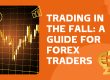Trading in the fall A guide for forex traders